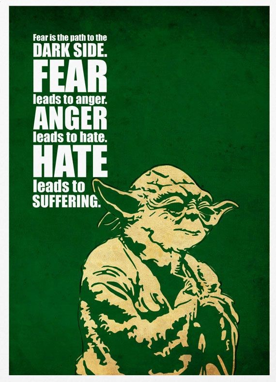 Fear is the path to the dark side. Fear leads to anger. Anger leads to hate. Hate leads to suffering. Yoda quote
